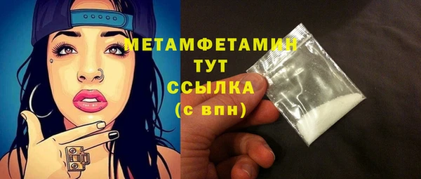 гидра Богородицк