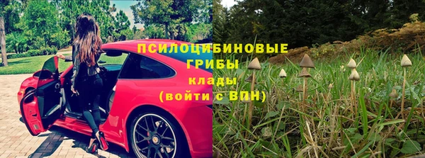 mdpv Бородино
