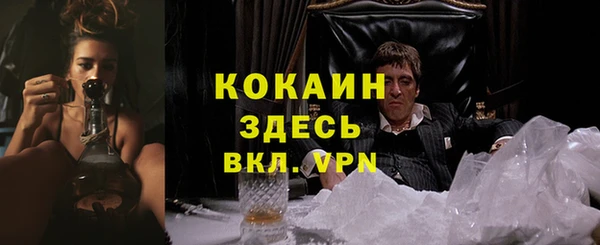 mdpv Бородино