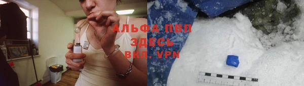 mdpv Бородино