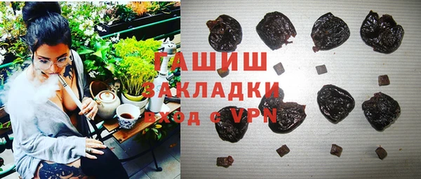 гидра Богородицк