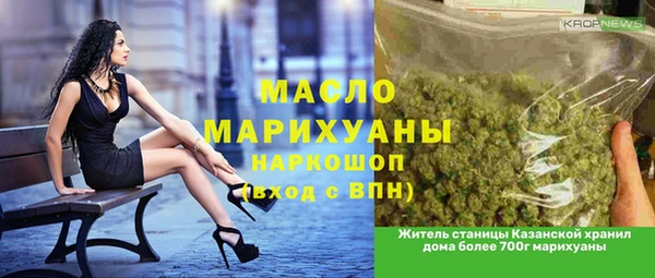 mdpv Бородино