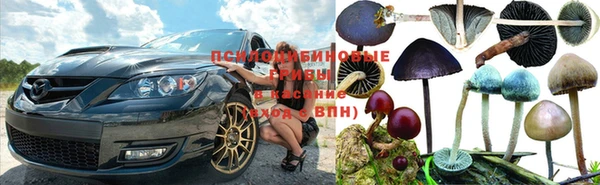 ешки Богданович