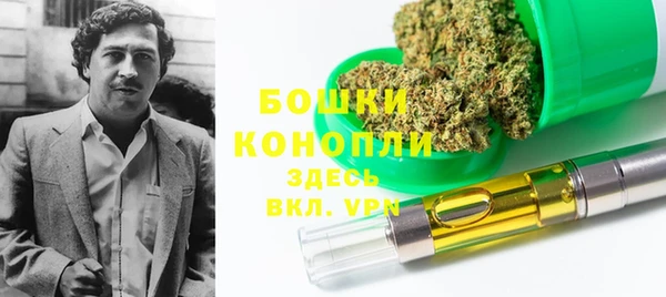 mdpv Бородино